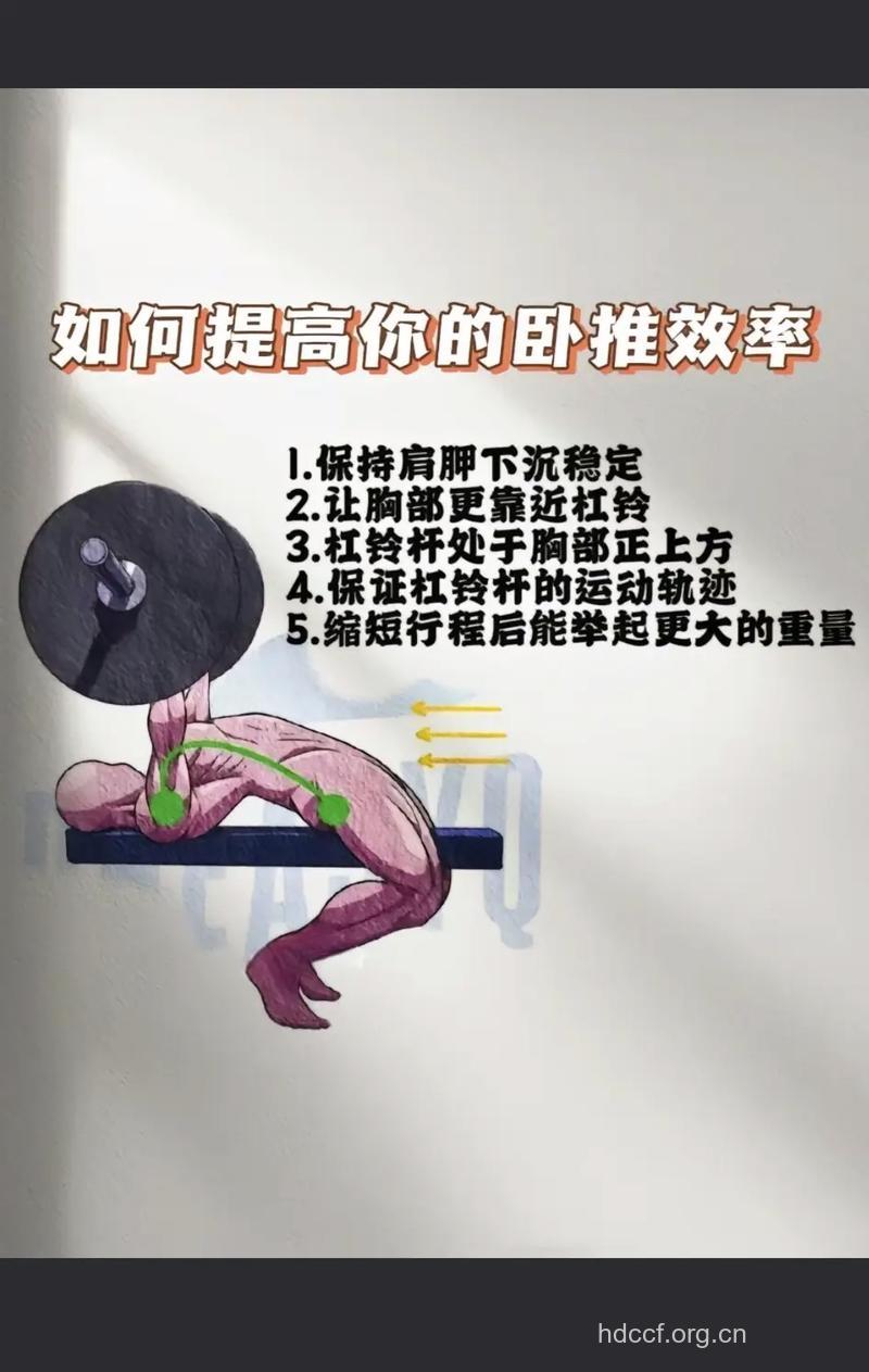 卧推能练背阔肌吗 这么做才能锻炼到