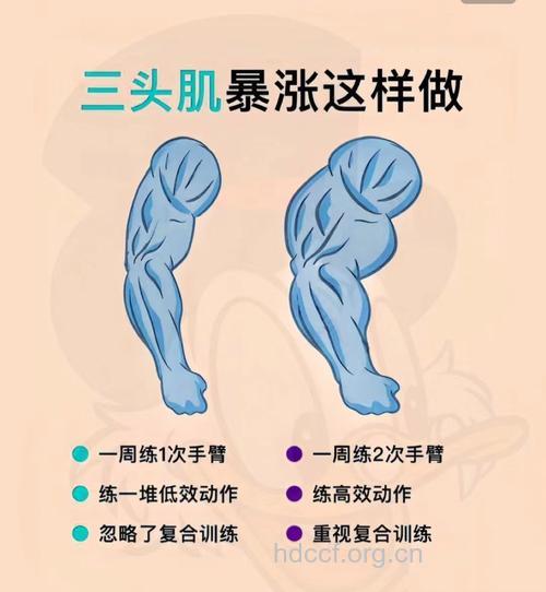 肱三头肌一练就疼 怎么训练好呢