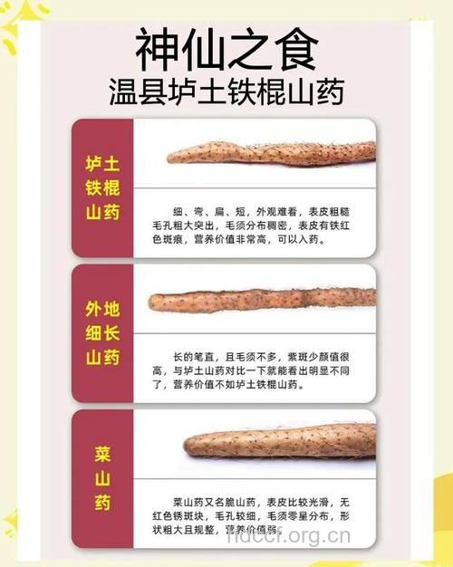 冬季吃山药的七大保健功效