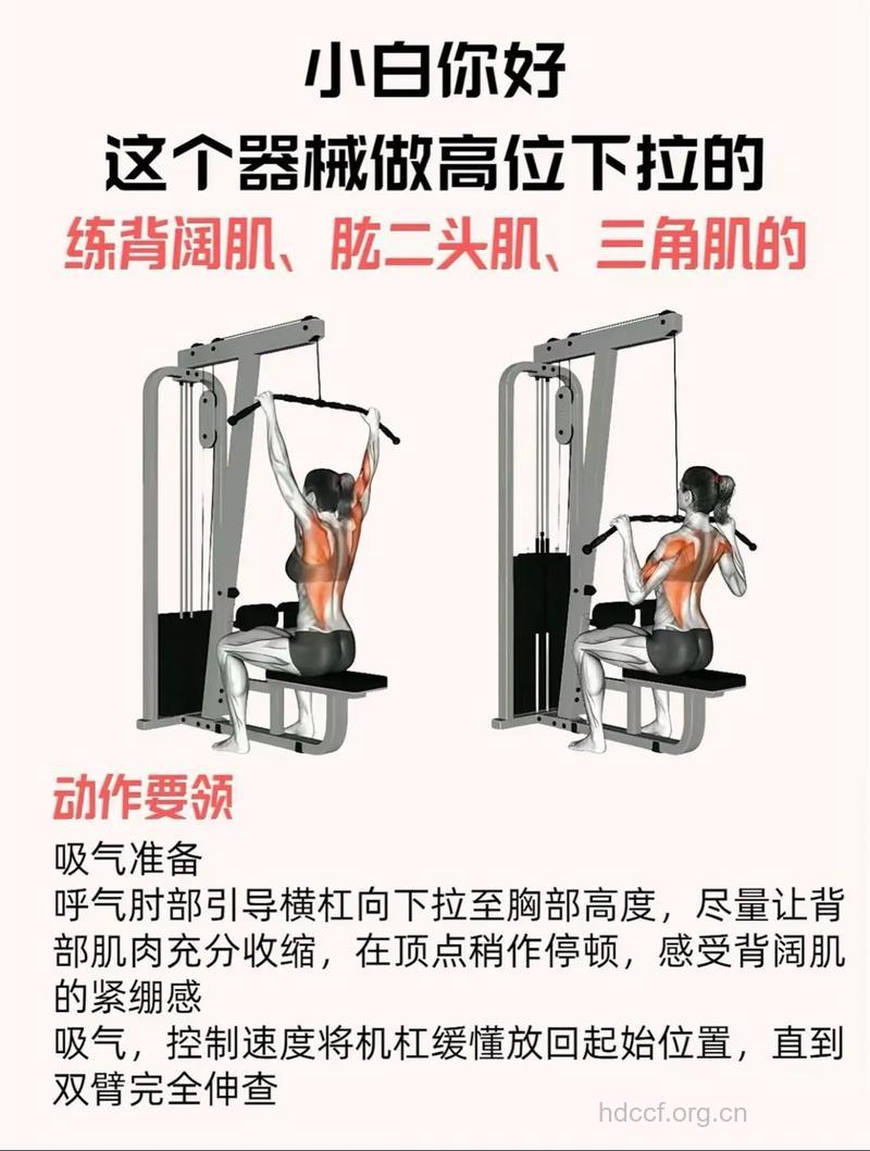 怎么训练背阔肌 做高位下拉效果好