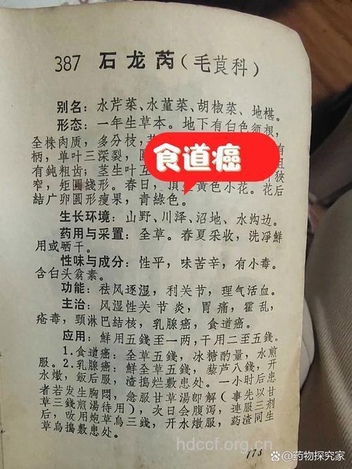 食道癌的药膳方推荐