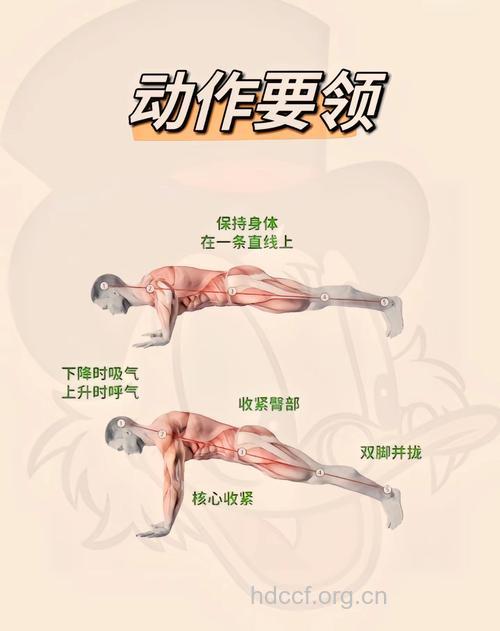俯卧撑练肱三头肌吗 两个动作帮你