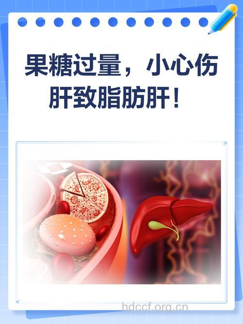 果糖摄入过多诱发脂肪肝