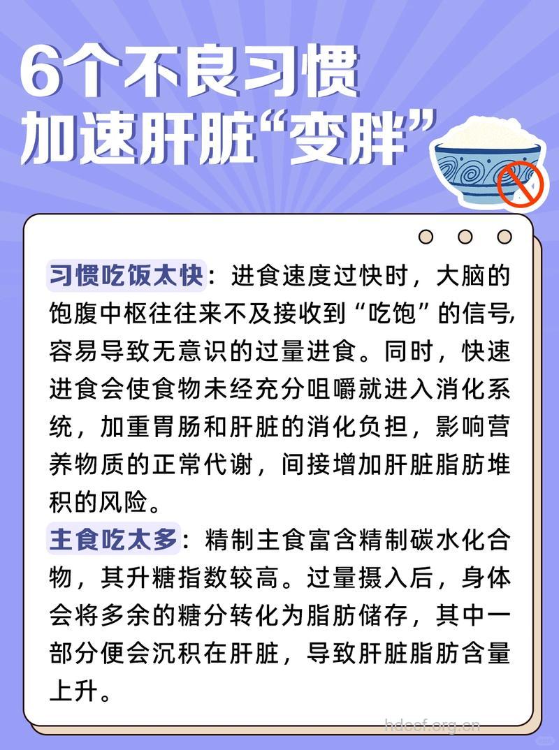 预防“胖肝”胜于补救!