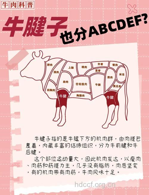 吃牛肉长肌肉吗 吃什么长肌肉快