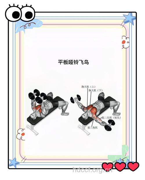 哑铃飞鸟练哪 哑铃飞鸟几天一次
