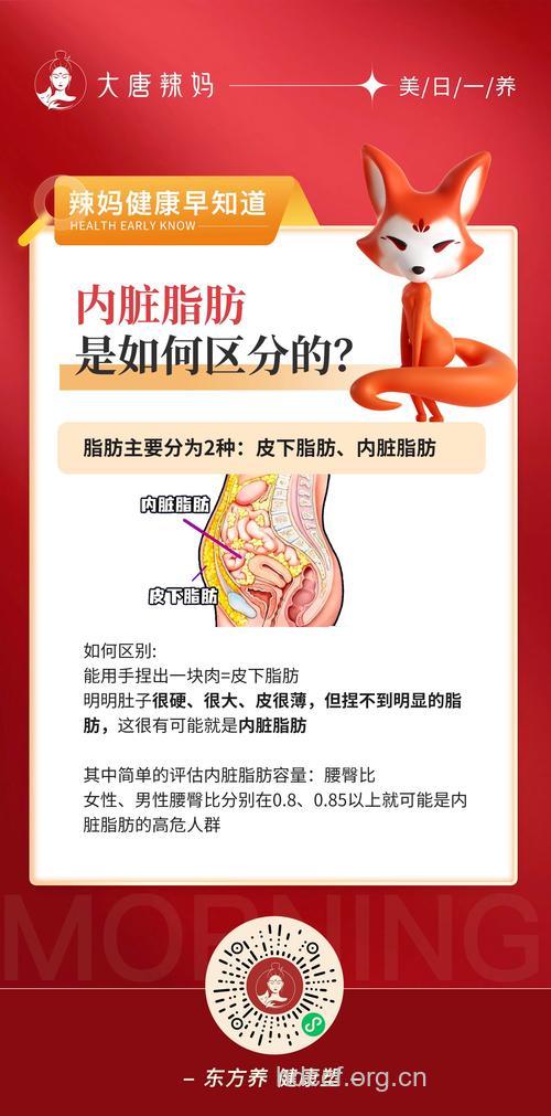 肝内脂肪有“多少”