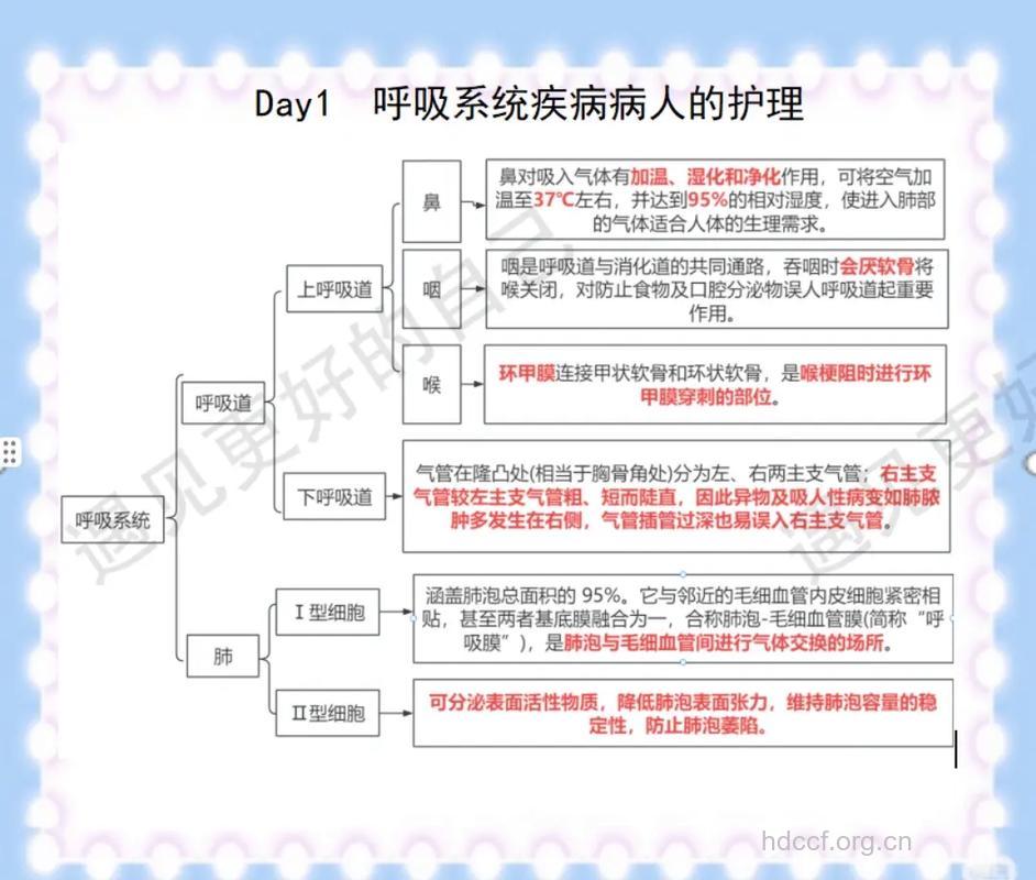 呼吸道疾病如何护理？