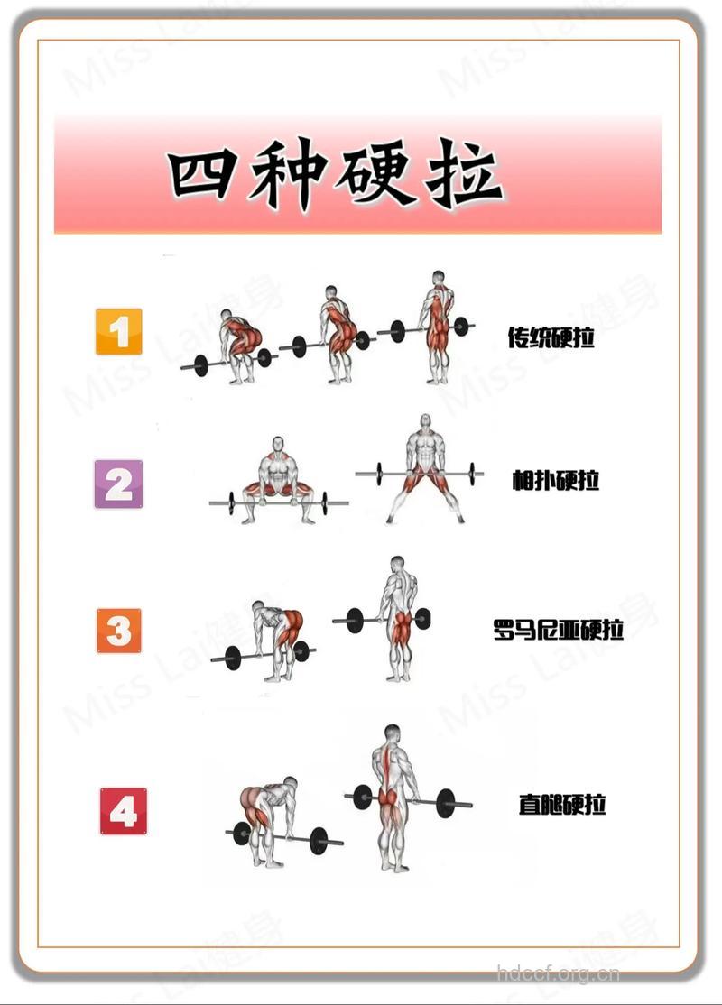 健身硬拉 详解三种硬拉方法