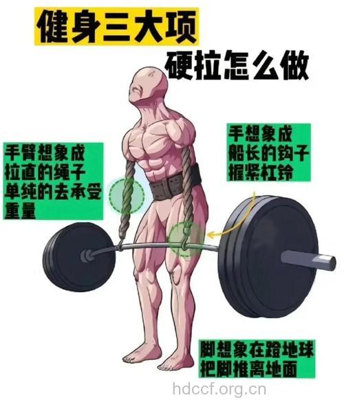 杠铃屈腿硬拉怎么做 主要练哪里呢