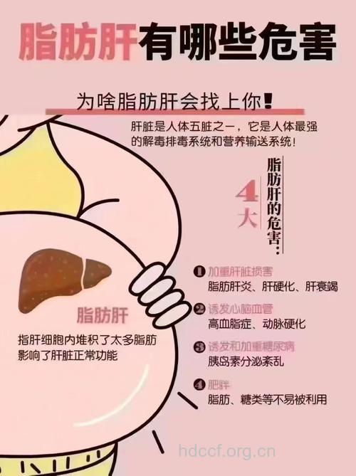 脂肪肝的危害