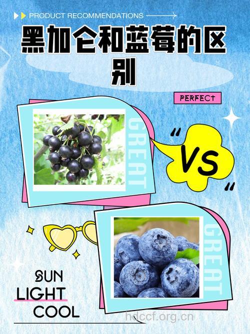 研究称：蓝莓、黑加仑等浆果可预防脂肪肝
