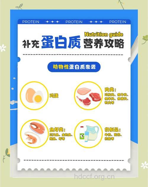 我们要如何正确的补充蛋白质?