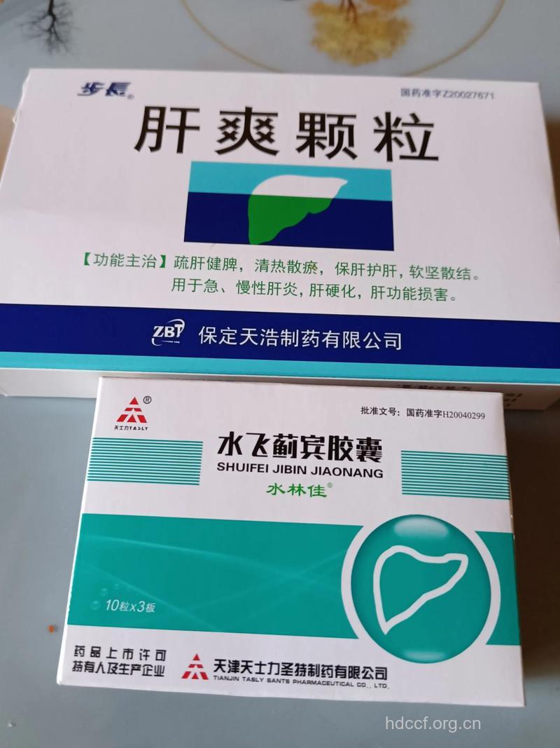 应对脂肪肝 选中药效果明显