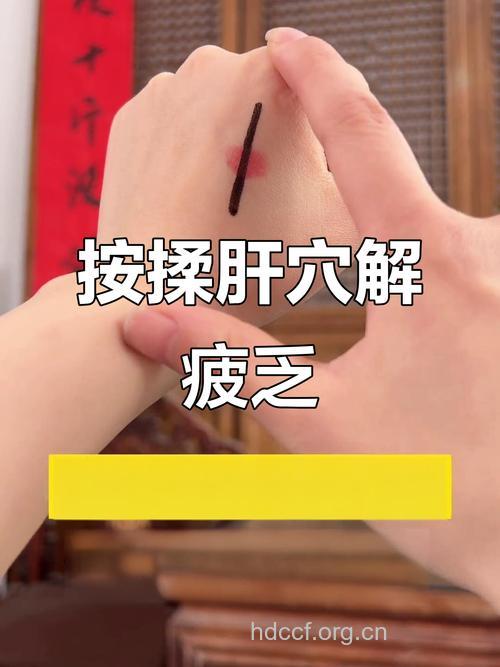 消灭脂肪肝的“下手点”