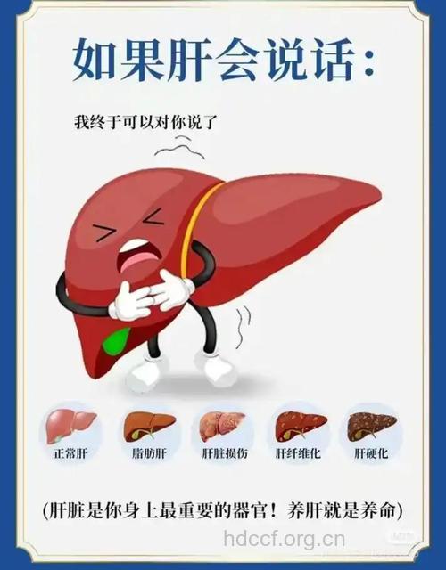 脂肪肝伤害的不仅仅是肝