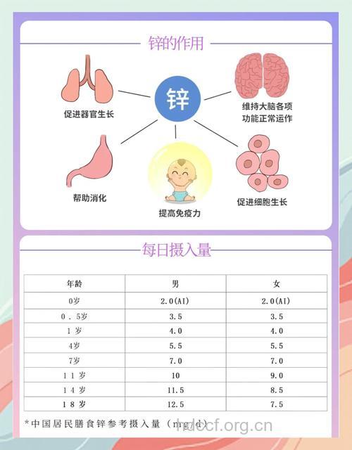 需要补锌的四大人群