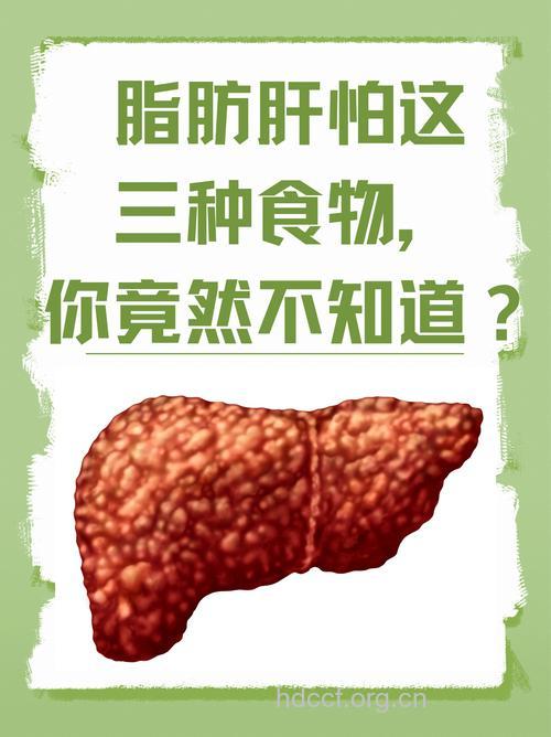 脂肪肝--“吃”出来的疾病