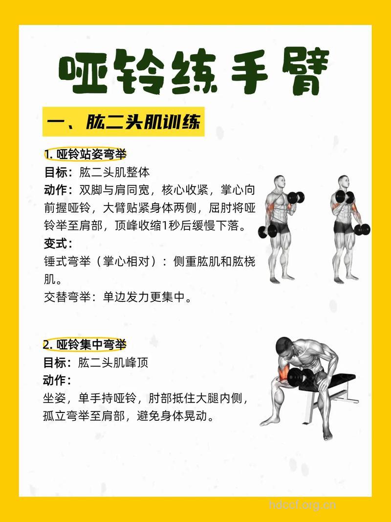 哑铃怎么锻炼肱二头肌 推荐三个人气动作