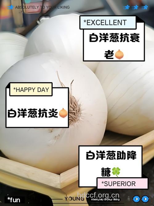 多吃洋葱白菜可抗癌