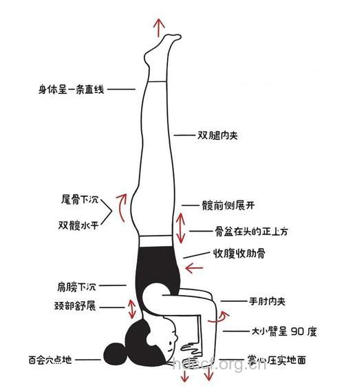 必须看 倒立多少时间效果好