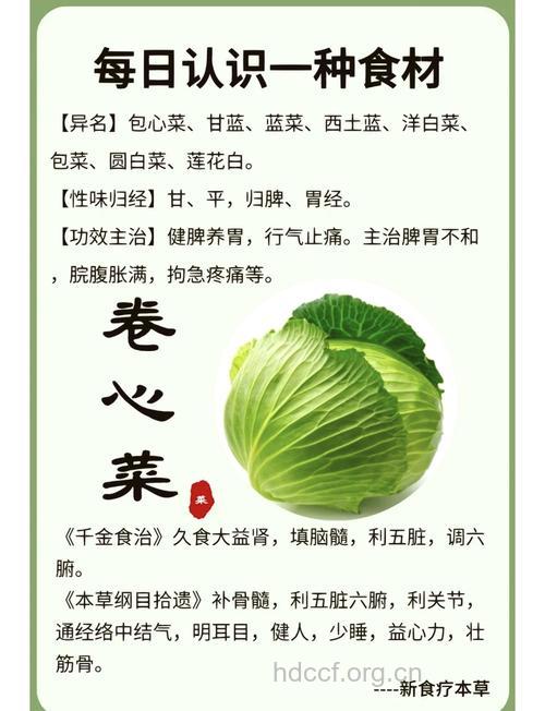 卷心菜 卷心菜的营养价值