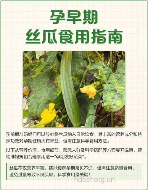 孕期怎么吃丝瓜保健方法