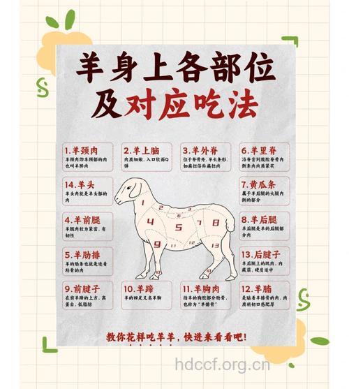 吃羊肉必需注意的五点