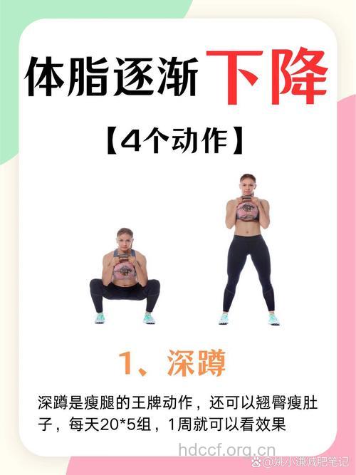 如何减脂不减肌肉 安利四个人气方法