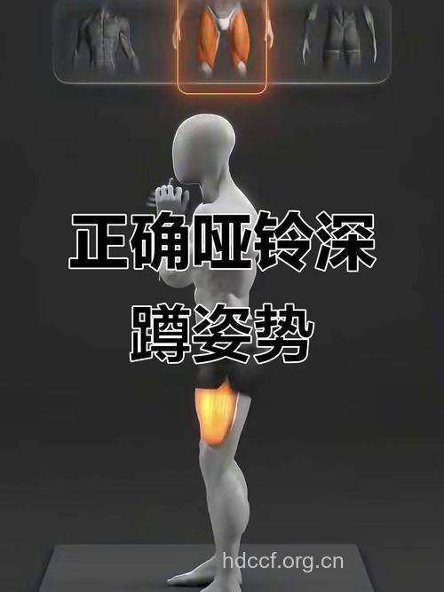 哑铃深蹲做几次好 哑铃深蹲的标准动作