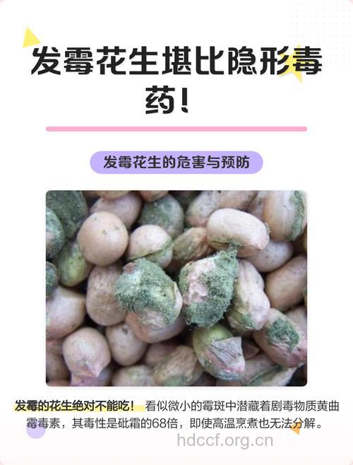花生 7类人吃了变毒药