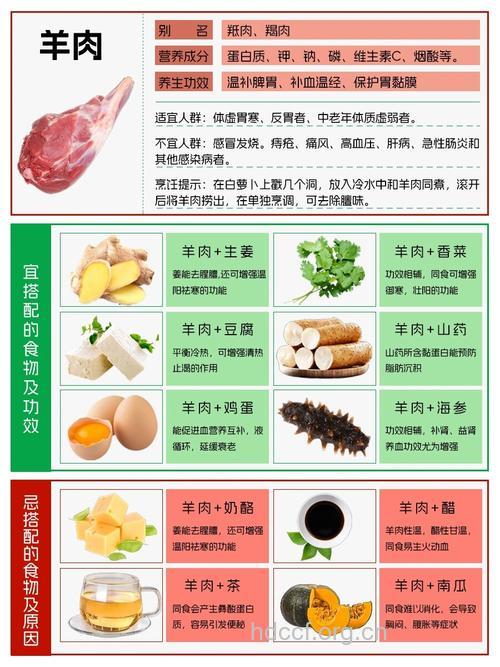 羊肉不能和哪些食物一起吃？