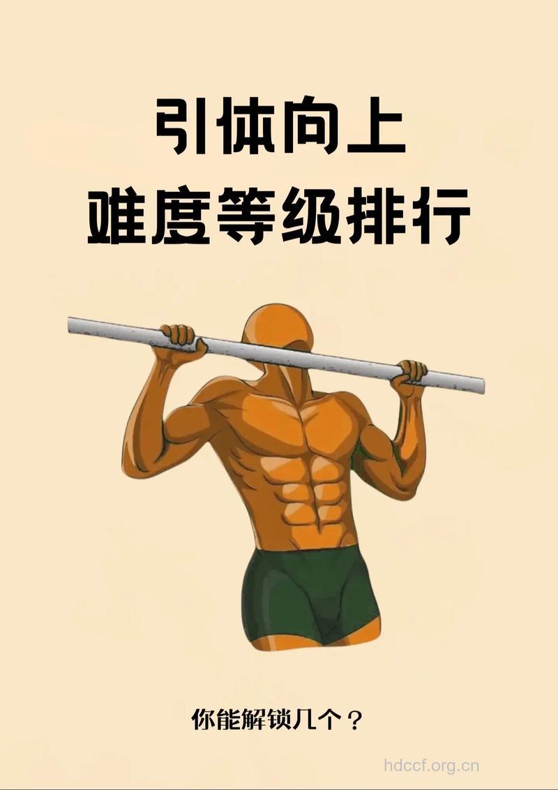 大学生引体向上合格难 10个是标准