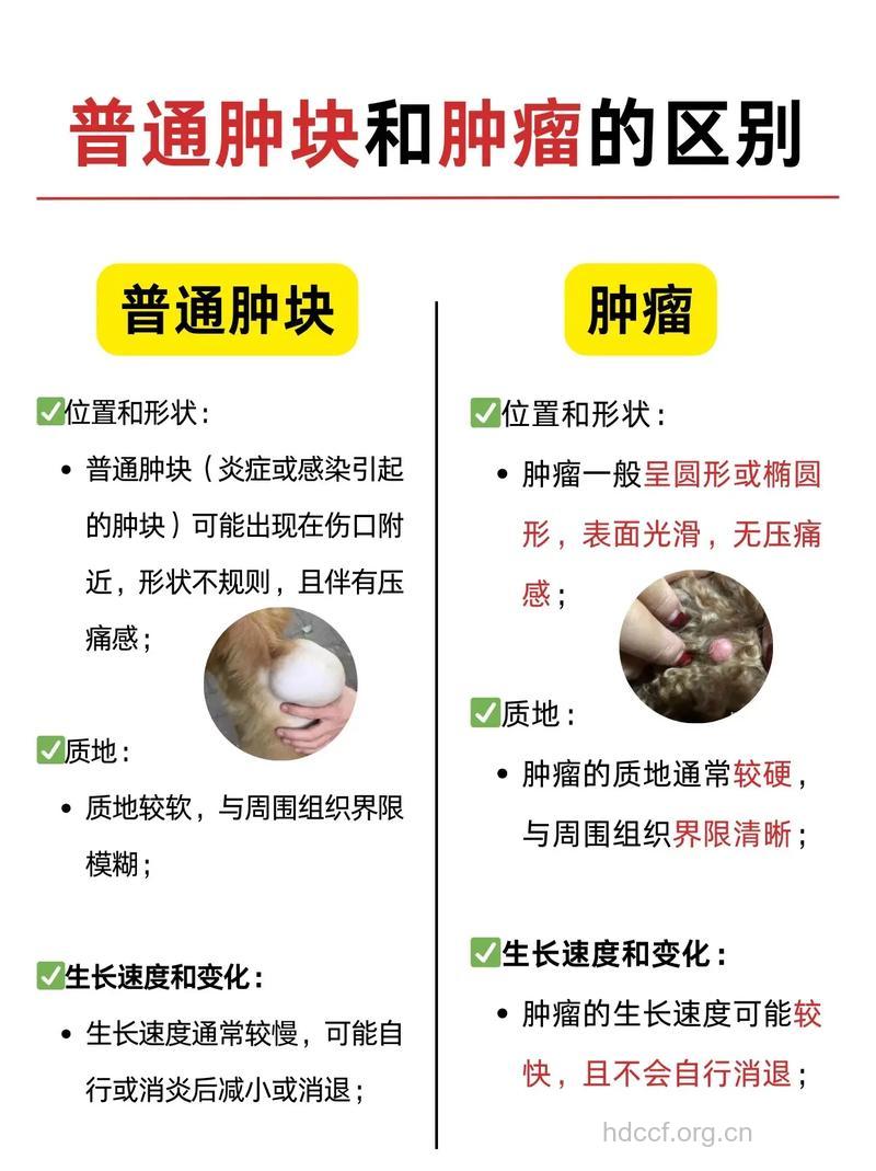 怎么判断体表肿物良恶