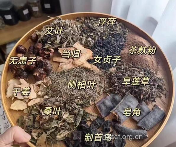 怎么用中医药膳应对脱发