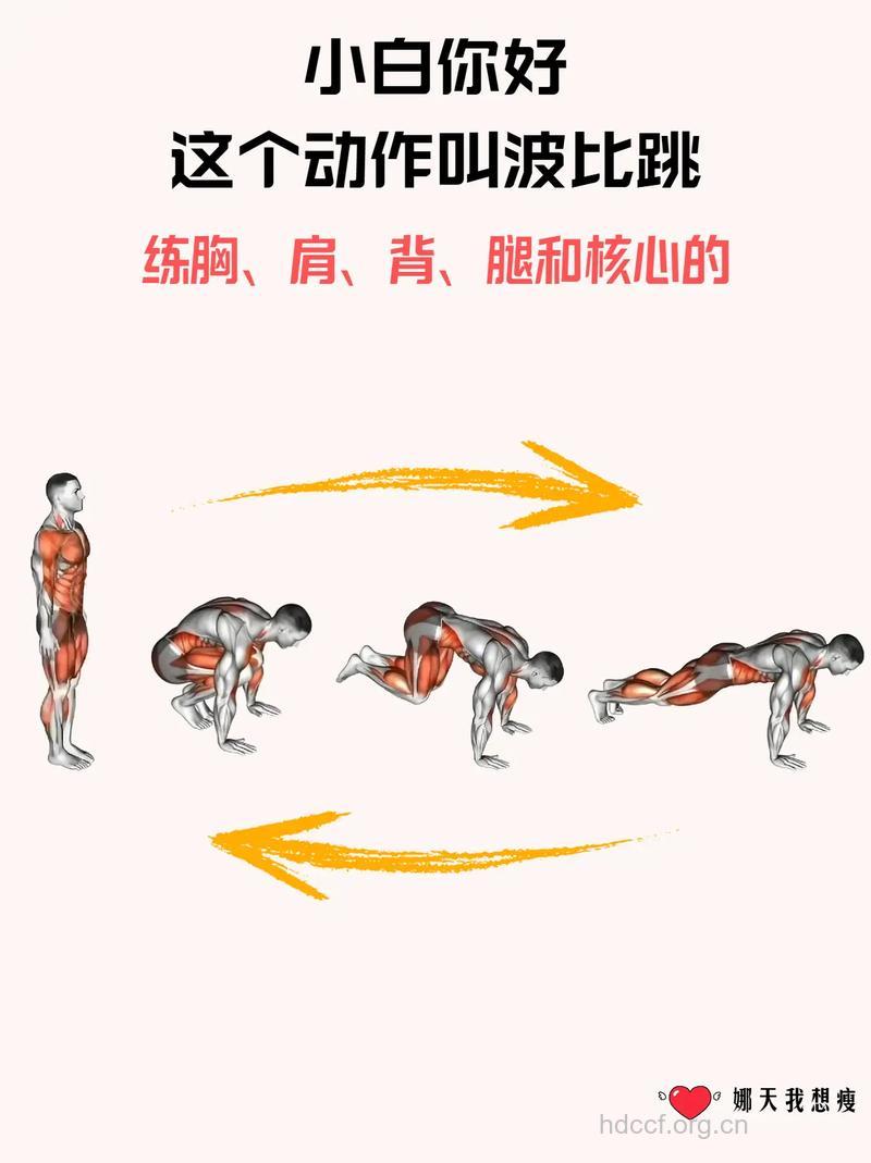 波比跳和立卧撑的区别 你了解吗