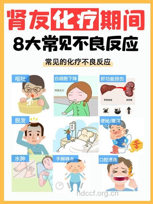 怎么防治化疗不良反应