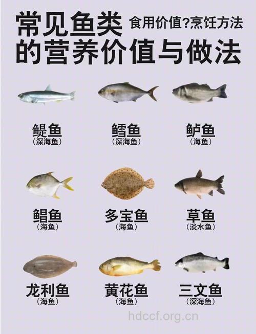 秋冬进补适合多吃五种鱼