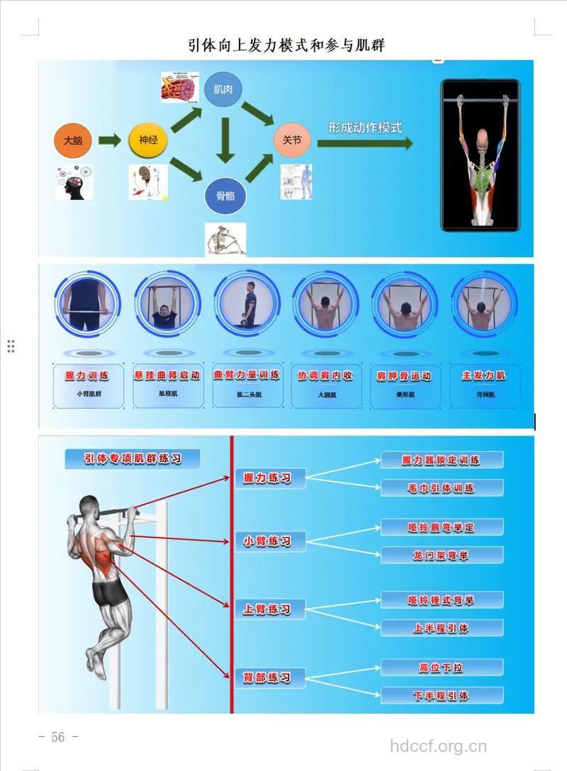 引体向上训练计划 你了解吗