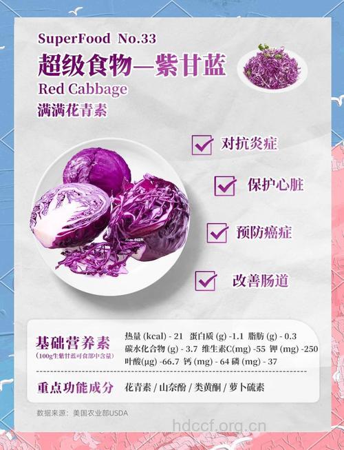 常吃紫甘蓝可抗癌