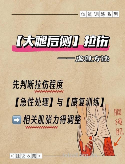 大腿肌肉拉伤要怎么预防