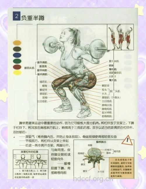 杠铃深蹲动作怎么做才正确
