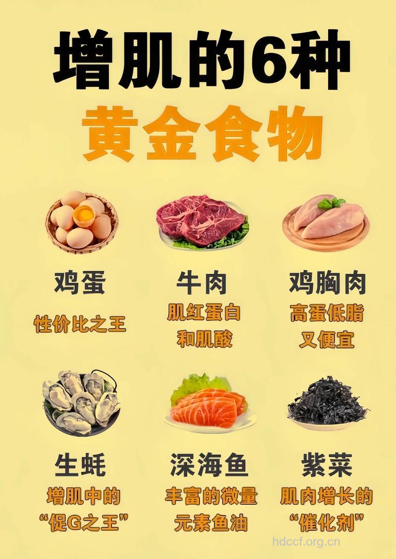 健身增肌吃什么 推荐五类食物