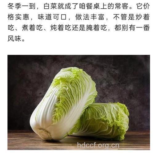 秋季养胃多吃大白菜