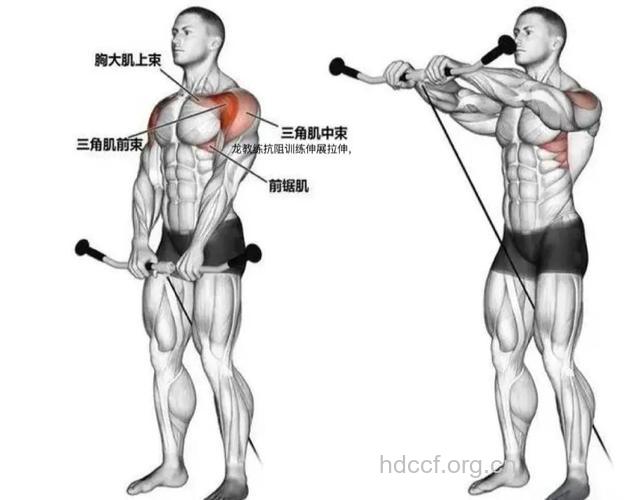 在家锻炼三角肌前束有哪些方法