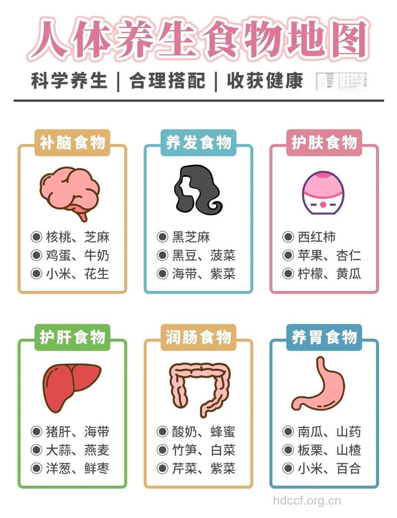 男女怎么区别怎么饮食养生方法