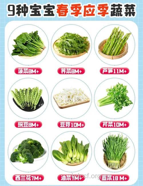 宝宝上火吃什么蔬菜