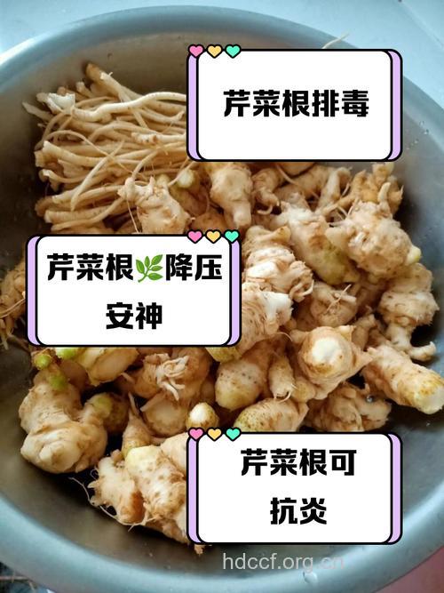 哪些蔬菜根有哪些注意事项