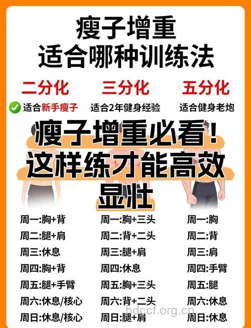 瘦子肌肉锻炼 健身训练频率是多少