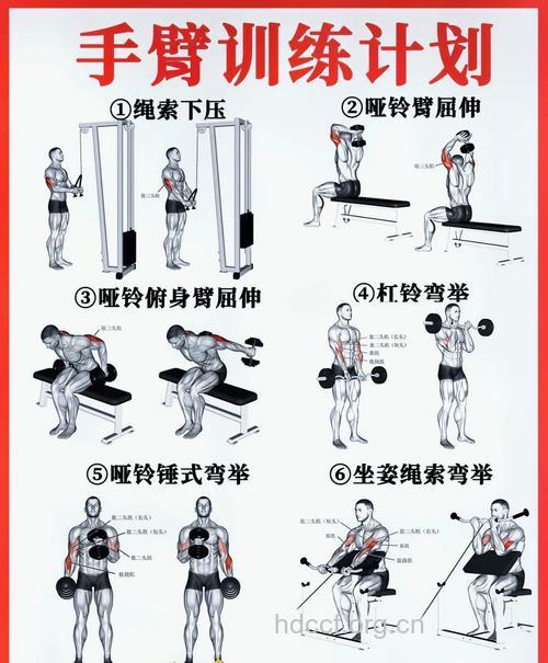 手臂力量训练方法 如何训练手臂力量